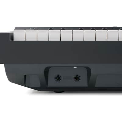 Yamaha P-125a Digital Piano (Black) [USED] image 3