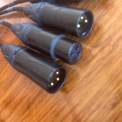 Mogami / Neutrik / LA Pro Audio 2-Channel Insert Cable | Made from Mogami 2931 & Neutrik Gold | 2 x 1/4" TRS to 4 x XLR image 3
