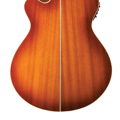 Washburn Festival EA15 Ice Tea Burst image 2