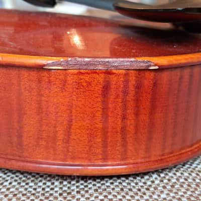 Scherl & Roth 13" Viola R203E13 image 5
