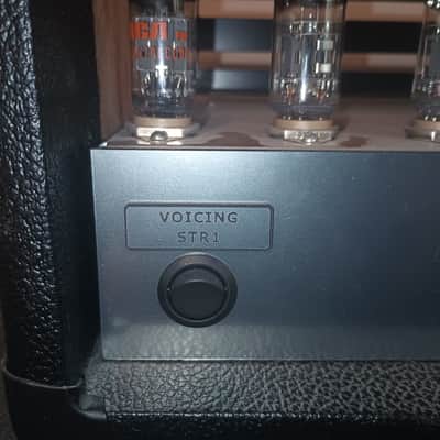 Peters Amplifier - Guitar Amp image 8