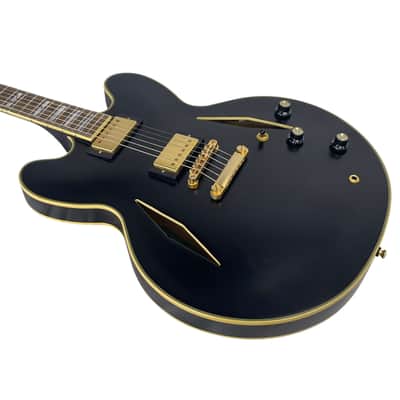Epiphone Emily Wolfe Sheraton Semi-Hollow Electric Guitar w/Gig Bag (Used) image 7