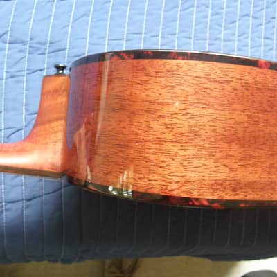 Alvarez MP66 Masterworks parlor 2024 - natural gloss finish image 13
