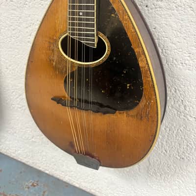 Weymann mandolin (mandolute) style 30 app. 1913 image 2