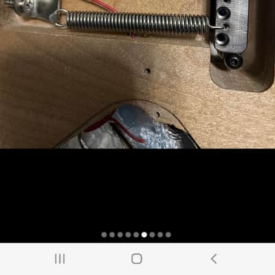 Schecter  Van Nuys Strat 80s Birds Eye Maple image 10