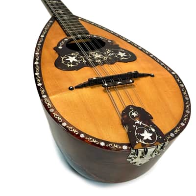 Umberto Ceccherini Mandola / Octave Mandolin (Giovanni Palladino Label) 1896 image 20