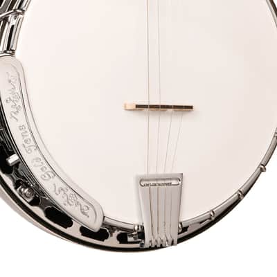 GOLD TONE TS-250 Tenor Special banjo NEW w/Hard Case image 4