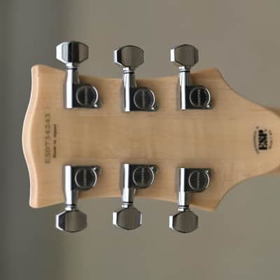 ESP E-II RZK-I Burnt Left Handed Signature - Distressed &amp; Burnt - Lefty(2) image 6
