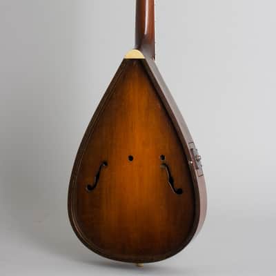 Vivi-Tone Hollow Body Electric Mandolin (1933), ser. #301, original black chipboard case. image 2