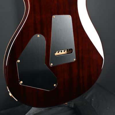 PRS DGT Semi-Hollow w/ Birds 10-Top McCarty Tobacco Sunburst #495 image 18