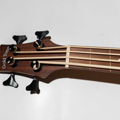 Gold Tone M-Bass23/FL Acoustic-Electric Fretless Bass Guitar image 8