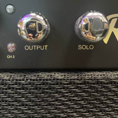 Mesa Boogie Rect-O-Verb 50 image 5