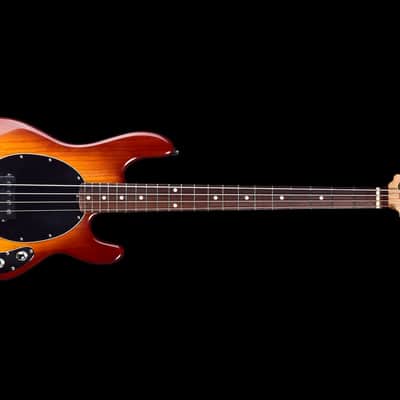 Musicman StingRay 3 EQ H 2008 - Honey Burst image 2