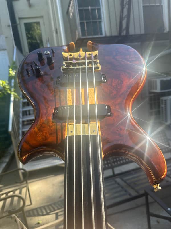 Custom Alembic Fretless 5 String Omega Heart w/LEDs image 1