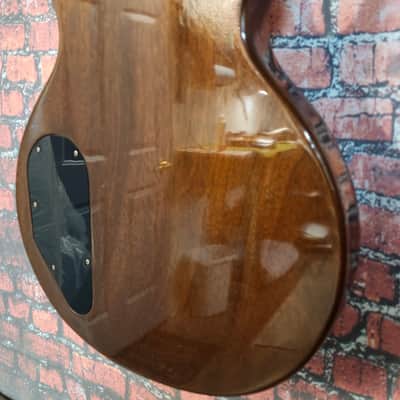 Gibson Les Paul Special Double Cut 1978 W/Gibson Protector Case Tobacco Burst image 14