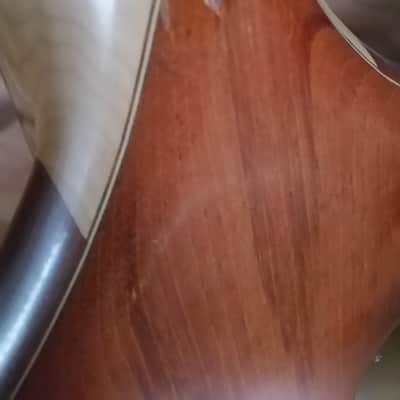 Alembic Classico Electric Upright with stand and soft case image 5
