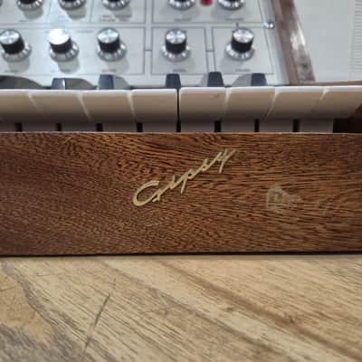 Dewtron Gipsy Synth Synthesizer- For Collectors Only 1972 image 2
