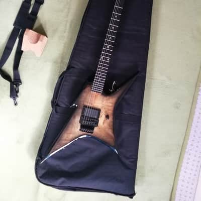 B.C. Rich Padded Gigbag XXL to L Guitars and Baases image 8