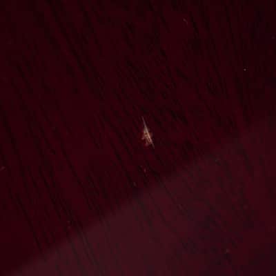 PRS Singlecut Cherry 2000 image 13