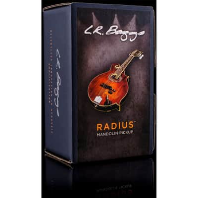 LR Baggs RADM Radius Mandolin Pickup w/ JACK image 1