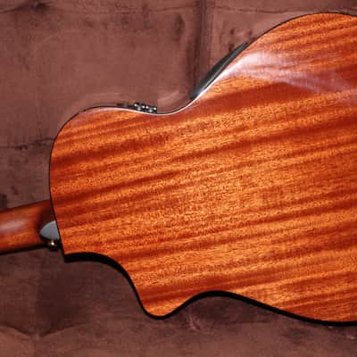 2024 Breedlove Solo Pro Concert Edgeburst 12 String - Edgeburst image 7