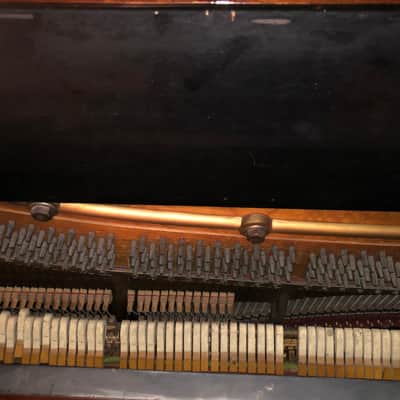 1890-1990 Mason & Risch Upright Piano (First 600 Serial Number) image 8