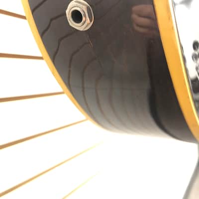 Epiphone Howard Roberts Custom Late-1960s image 23
