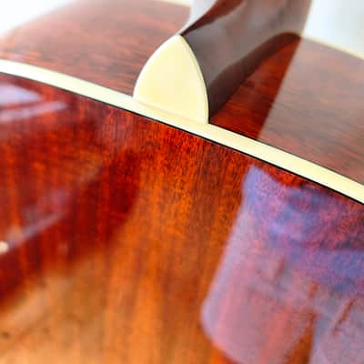 Eastman AC330E-12 - Natural image 9