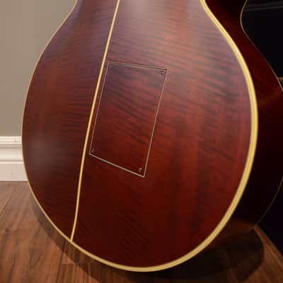Takamine B10 Bild 5