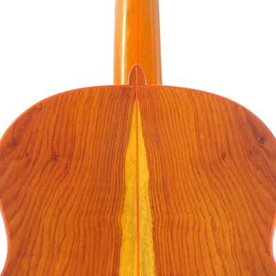Gerardo Escobedo 2018 - absolutely stunning classical guitar - lightweight, lively and explosive - check video! image 7
