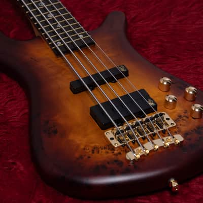 【new】Warwick / Teambuilt ProSeries Streamer LX5 Limited 2025 3.670kg #M013837-25【GIB Yokohama】【price included SHIPPING & IMPORT TAX & VAT】 image 13