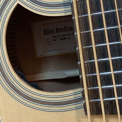 Warwick RockBass Alien Standard 5 String Bass image 6