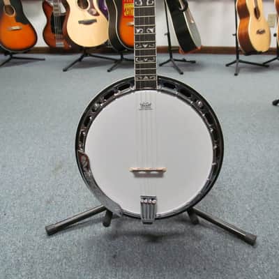 Washburn Americana B16 5-string Resonator Banjo - Tobacco Sunburst with Hard Case image 1
