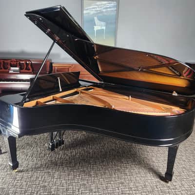1901 Steinway B Grand Piano Rebuilt by Steinway in 1998 * Free 1st floor Delivery in NJ!* image 12