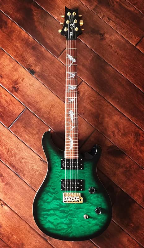 エレキギター　PRS SE ポールアレンダーモデル PRS SE Paul Allender Custom 24 Signature Guitar | Cradle of Filth