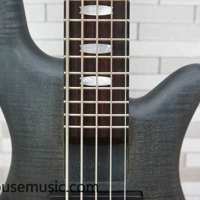 Immagine Spector Euro 5 LX - Trans Black Stain Matte - 4