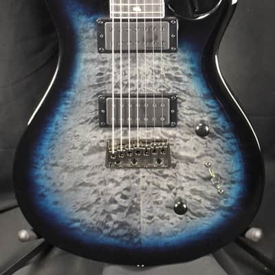 PRS SE Mark Holcomb SVN | Reverb