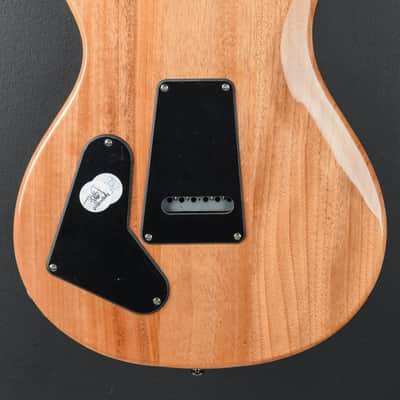 Paul Reed Smith SE Custom 22 Semi-Hollow '22 image 4