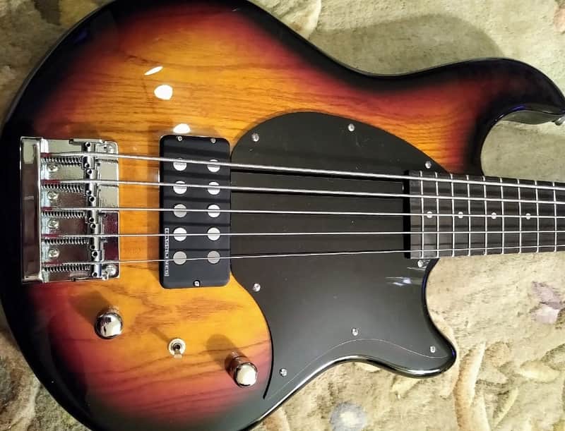 Fernandes Atlas Deluxe 5 String With Case image 1