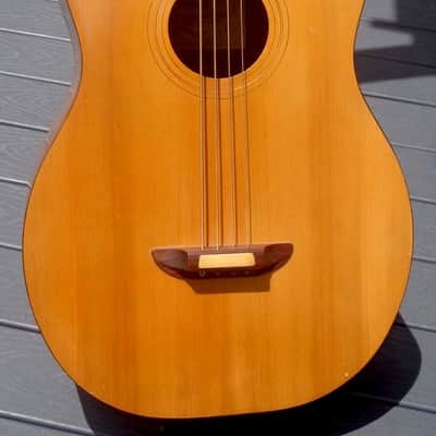 Ernie Ball Earthwood Acoustic Bass 1972 Natural image 1