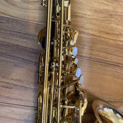 Alto Sax & accessories - Trevor James The Horn 2024 - Gold Lacquer image 13