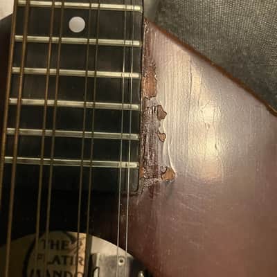Flatiron Mandola model Mola 1CH 1995 - Chocolate brown, satin lacquer image 13