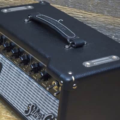 DV Mark DV Gen 15 Silver Generation 15-Watt Tube Guitar Amplifier Head #J9000074 image 9
