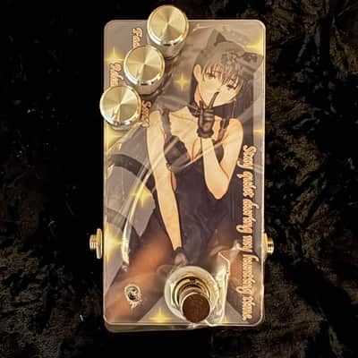 Sound Project "SIVA" / Cat Footstep Noise Gate『Stay quiet during my hunting time.』Front/Black image 1