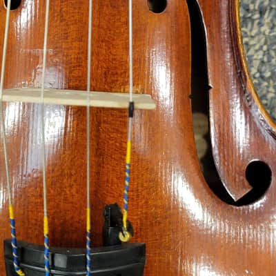 D Z Strad  Viola - Model 500 - Handmade Viola Outfit- handmade by prize winning luthiers (15 Inch) image 3
