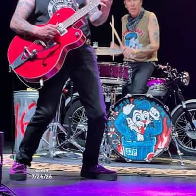 Stray Cats, 2026 22" Tour Style Bass Drum Head, Slim Jim Phantom image 3