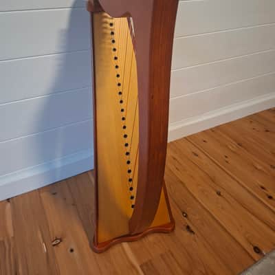 CAMAC 22 string Bardic 2015-2020 - Wood image 3