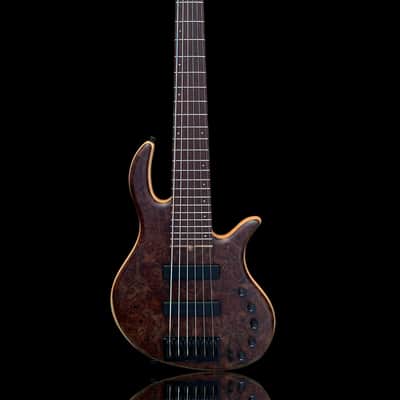 Elrick Basses Evolution Gold 6 - Burled Walnut 2024 - Satin image 1