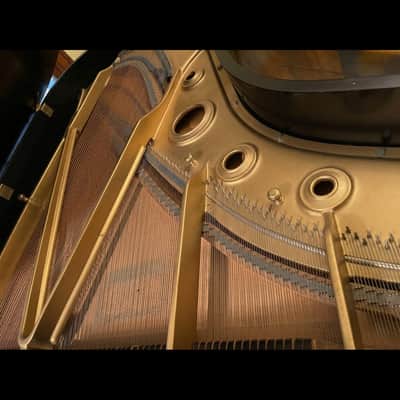 Kawai KG-5C Grand Piano – Ebony Finish (6’8”) image 7