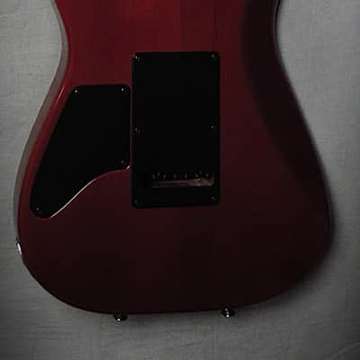 Tom Anderson Guitarworks Drop Top 2022 Fire Wipeout with binding image 8